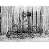 Noordwand Farmlife Fotobehang oude fiets zwart-wit - 3750016 Noordwand Farmlife Fotobehang oude fiets zwart-wit - 3750016