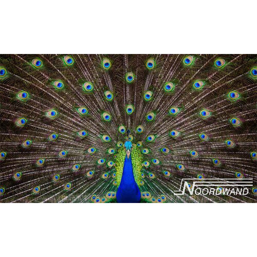 2,7m x 4,65m