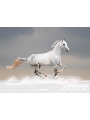 Noordwand Farmlife Fotobehang wit paard - 3750012