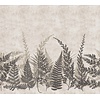 Decoprint Herbarium Fotobehang met varentakken - HED27292