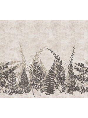 Decoprint Herbarium Fotobehang met varentakken - HED27292