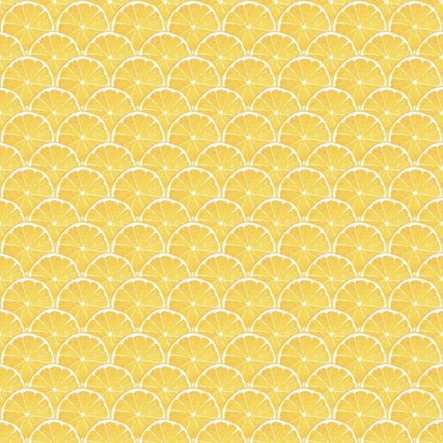 10,05m x 53cm