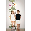 Marburg Kids Walls Fotobehang meetlint jungle dieren - 45886