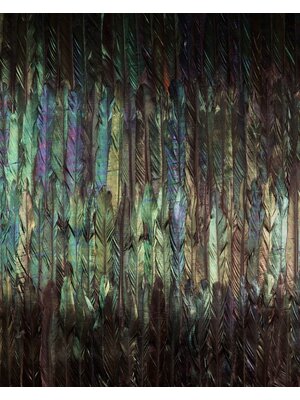 Noordwand Komar Colours Fotobehang Dark Wings - X4-1081