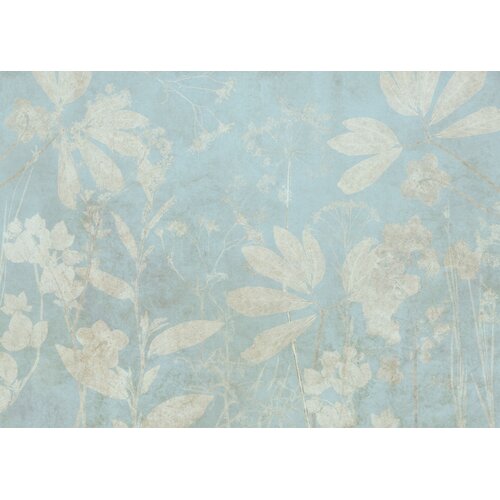 2,5m x 3,5m
