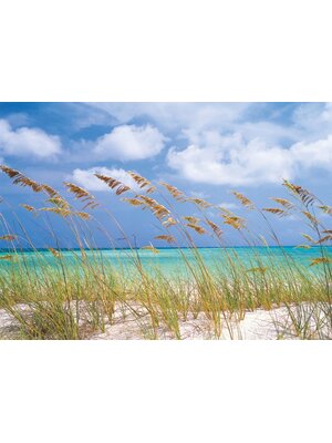 Noordwand Komar Colours Fotobehang Ocean Breeze - 8-515