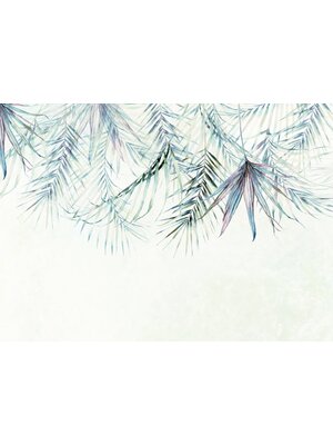 Noordwand Komar Colours Fotobehang Palm Spring - X7-1097