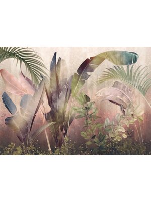 Noordwand Komar Colours Fotobehang Rainforest Mist - X7-1079