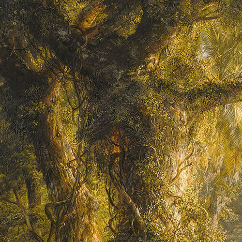2,5m x 4cm