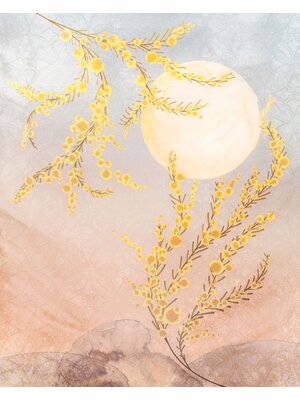 Noordwand Komar Colours Fotobehang Sol - X4-1091