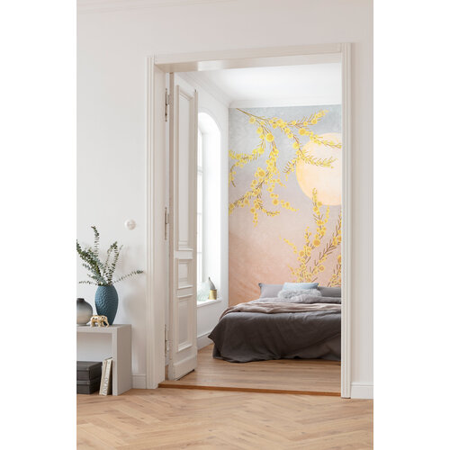 2,5m x 2m
