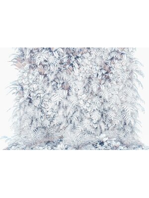 Noordwand Komar Colours Fotobehang Vertical Garden - 8-878