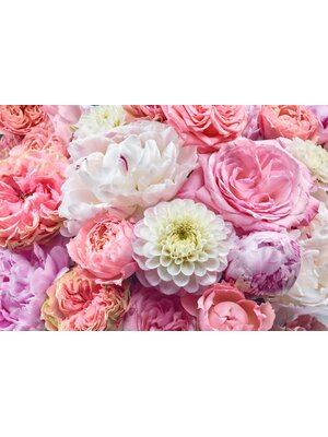 Noordwand Komar Colours Fotobehang Vibrant Spring - 8-335