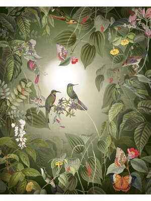 Noordwand Komar Colours Fotobehang Wildlife Birds - X4-1100 Noordwand Komar Colours Fotobehang Wildlife Birds - X4-1100