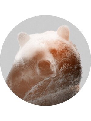 Noordwand Komar Dots Behangcirkel Bearava - D1-015