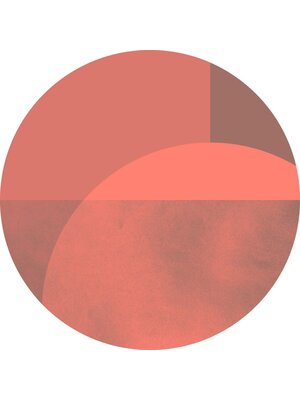 Noordwand Komar Dots Behangcirkel Roselux - D1-002