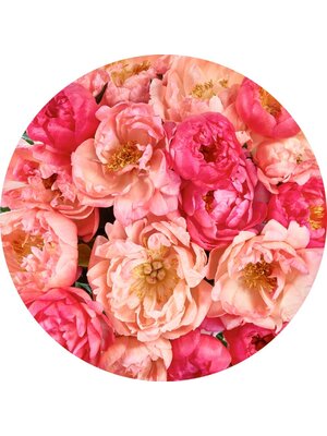 Noordwand Komar Dots Behangcirkel Roseraie - D1-101