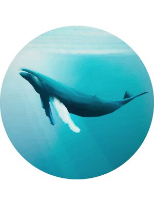 Noordwand Komar Dots Behangcirkel Whale Watching - D1-081