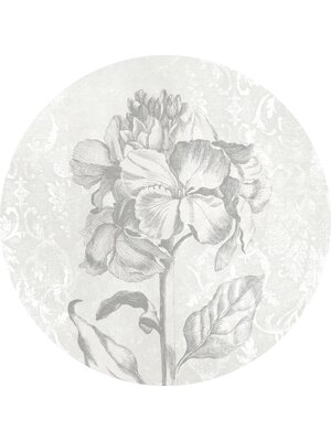 Komar Dots; Komar Home Behangcirkel Barock Beauty - D1-031