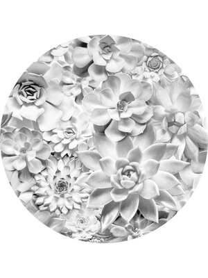 Komar Dots; Komar Home Behangcirkel Echeveria - D1-046