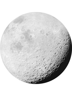 Komar Dots; Komar Home Behangcirkel Luna - D1-020