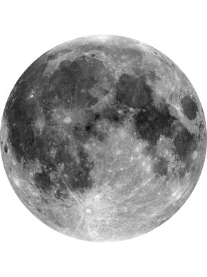 Noordwand Komar Dots; Komar Home Behangcirkel Moon - D1-019 Noordwand Komar Dots; Komar Home Behangcirkel Moon - D1-019