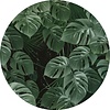 Komar Dots; Komar Home Behangcirkel Novel Monstera - D1-023