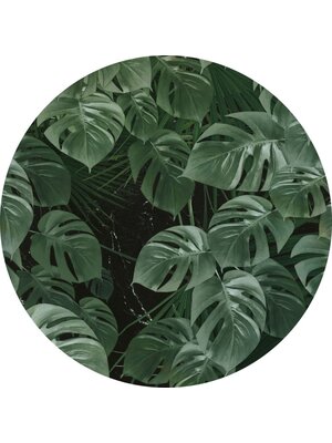 Komar Dots; Komar Home Behangcirkel Novel Monstera - D1-023