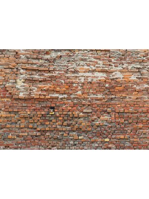 Komar Home Fotobehang Bricklane - XXL4-025