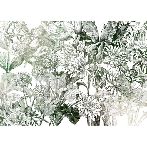 2,5m x 3,5m
