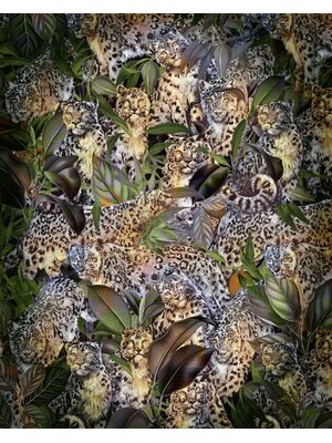 Komar Home Fotobehang Wild Cats - X4-1046