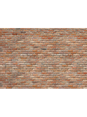 Komar Home; Komar Colours Fotobehang Backstein - 8-741