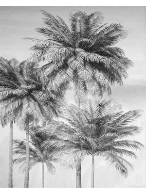 Komar Home; Komar Colours Fotobehang Cocco - X4-1019