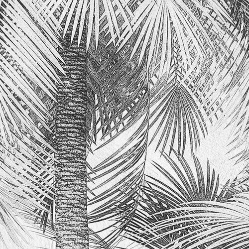 2,5m x 2m