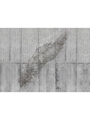 Komar Home; Komar Colours Fotobehang Concrete Feather - X7-1023