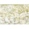 Komar Home; Komar Colours Fotobehang Daisies - 8-994