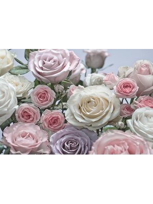 Komar Home; Komar Colours Fotobehang Floraison - 8-736