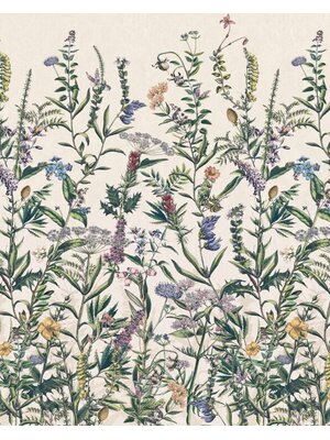 Komar Home; Komar Colours Fotobehang Flowering Herbs - X4-1011