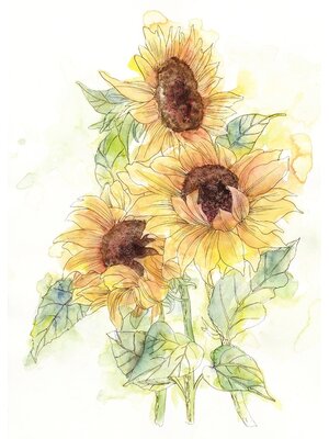 Komar Home; Komar Colours Fotobehang Girasol - X4-1008