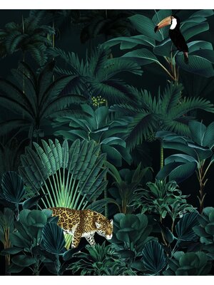 Komar Home; Komar Colours Fotobehang Jungle Night - X4-1027