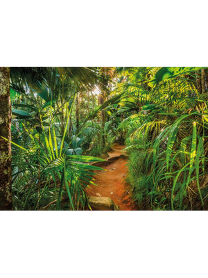 Komar Home; Komar Colours Fotobehang Jungle Trail - 8-989