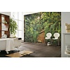 Komar Home; Komar Colours Fotobehang Jungle Trail - 8-989