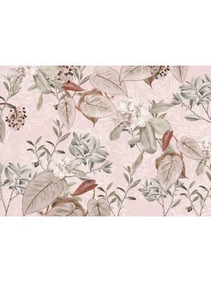 Komar Home; Komar Colours Fotobehang Kalina - X7-1043