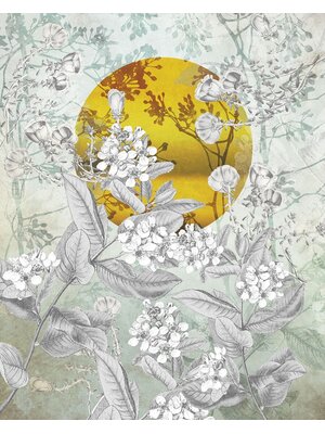 Komar Home; Komar Colours Fotobehang Karma - X4-1020