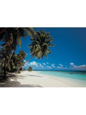 Komar Home; Komar Colours Fotobehang Maldives - 8-240