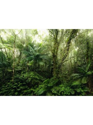 Komar Home; Komar Colours Fotobehang Mindfulness - X7-1009