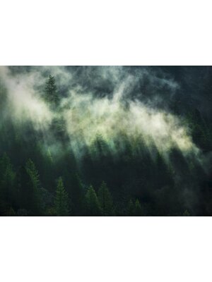 Komar Home; Komar Colours Fotobehang Misty Crowns - X7-1003