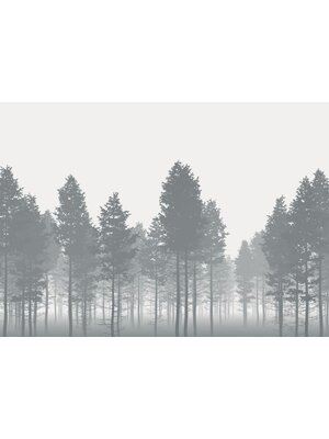 Komar Home; Komar Colours Fotobehang Nebula - X7-1021