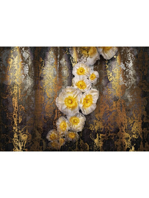 Komar Home; Komar Colours Fotobehang Serafina - 8-963