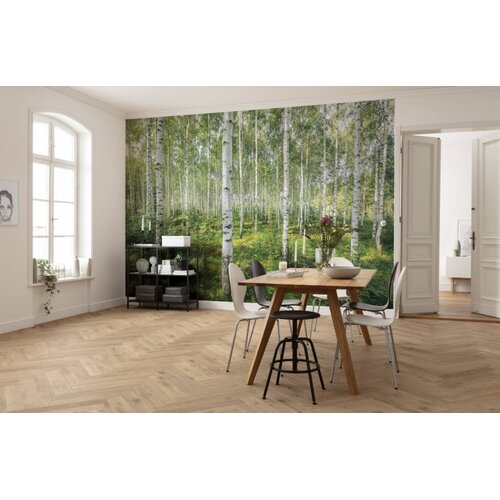 2,54m x 3,68m